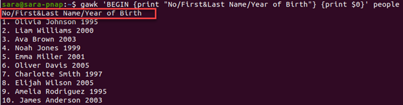 gawk BEGIN statement terminal output