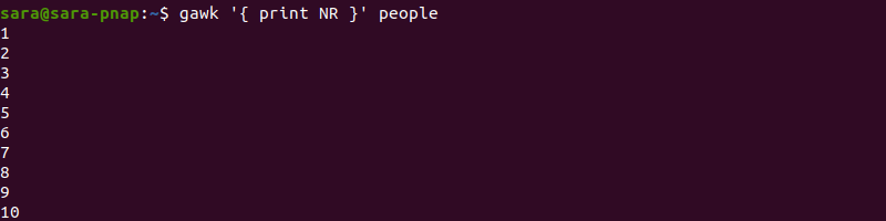 gawk NR terminal output