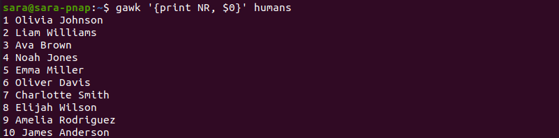 gawk print line numbers NR variable terminal output
