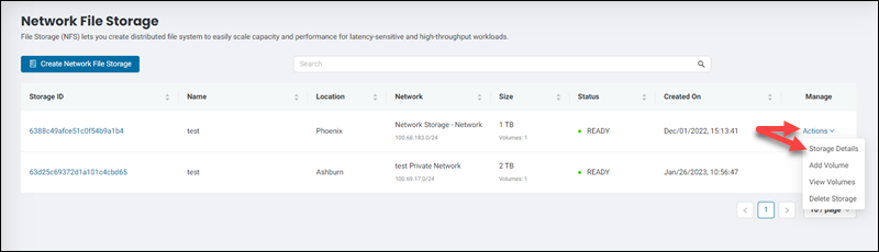 Network file storage actions storage details