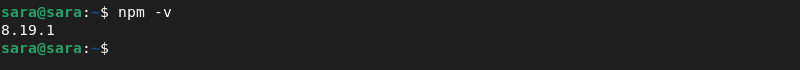 NPM -v PPA installation terminal output