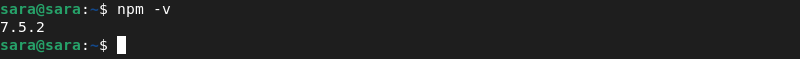 npm -v terminal output