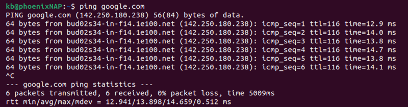 ping google.com terminal output