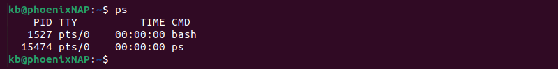 ps terminal output