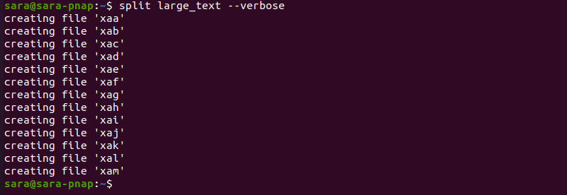 split verbose terminal output