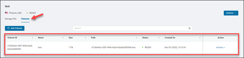 Volumes tab volume details page