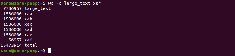 wc c terminal output