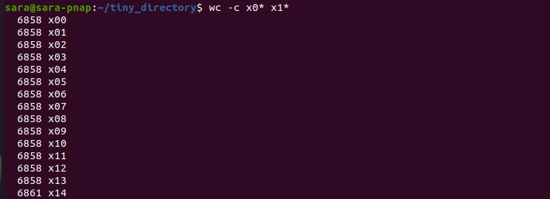 wc c xo x1 terminal output