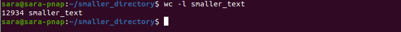 wc l smaller-text terminal output