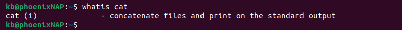 whatis cat terminal output