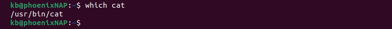 which cat terminal output