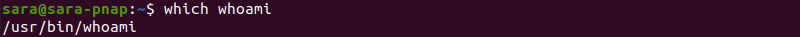 which whoami terminal output