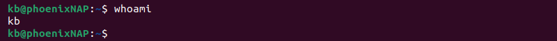 whoami command terminal output