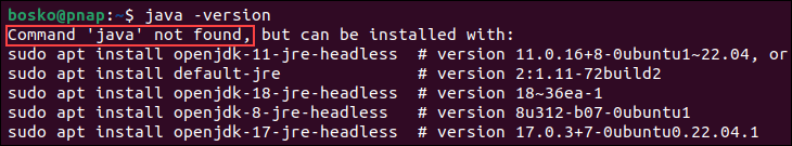 Check if Java is installed on Ubuntu.