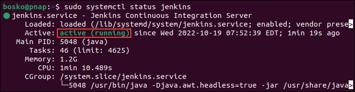 Checking if Jenkins is running.