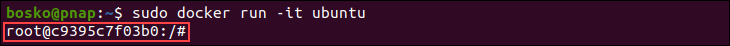 Running a Docker container in interactive mode.
