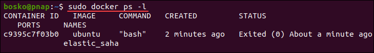 Listing only the latest Docker container.