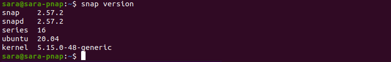 snap version terminal output