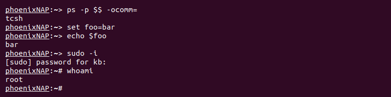 TENEX C shell tcsh example commands
