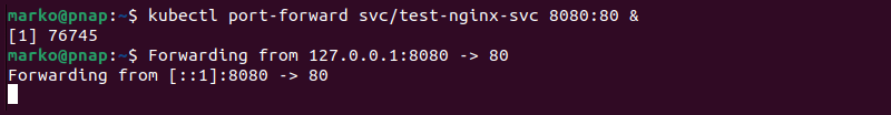 Starting a background port-forwarding process.