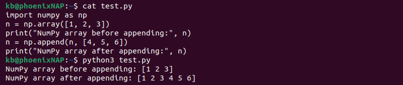 NumPy array append method code and terminal output