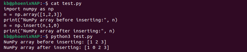 NumPy array insert method code and terminal output
