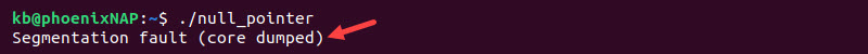 Segmentation fault error terminal output