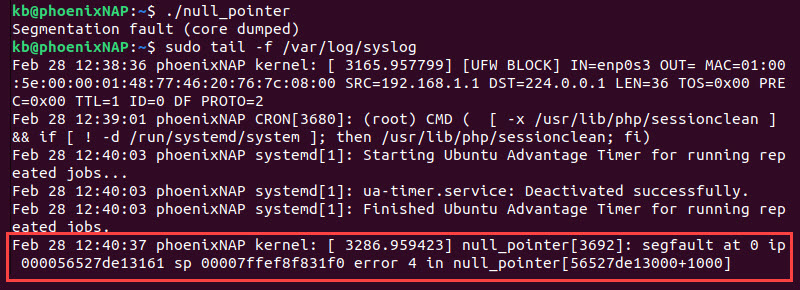 syslog segfault terminal output
