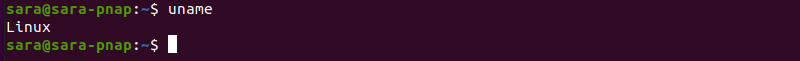 uname terminal output