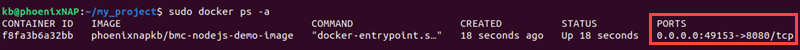 docker ps ports section terminal output