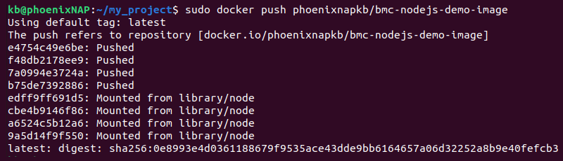 docker push terminal output