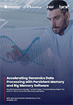 Accelerating Genomics Data Processing with Persistent Memory and Big Memory Software